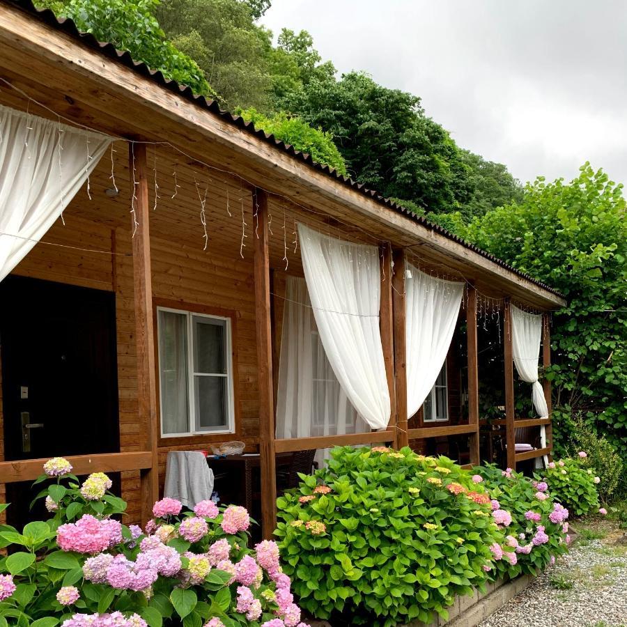 Guest House Ahan 가그라 외부 사진