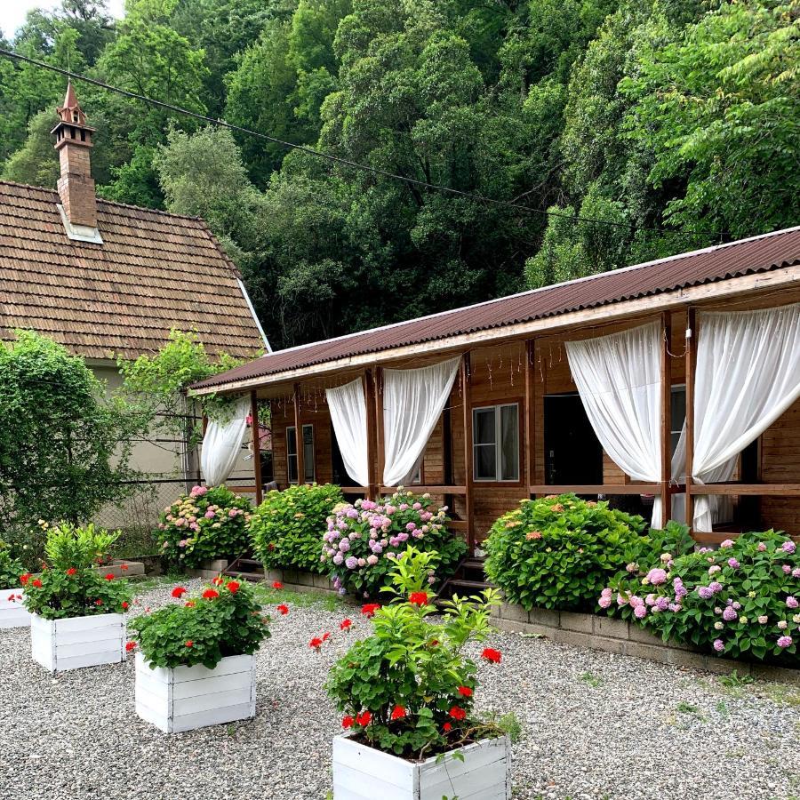 Guest House Ahan 가그라 외부 사진