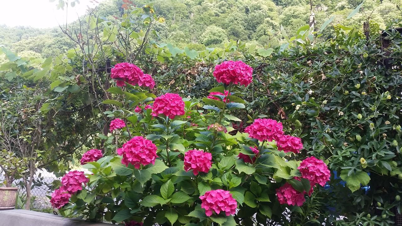 Guest House Ahan 가그라 외부 사진